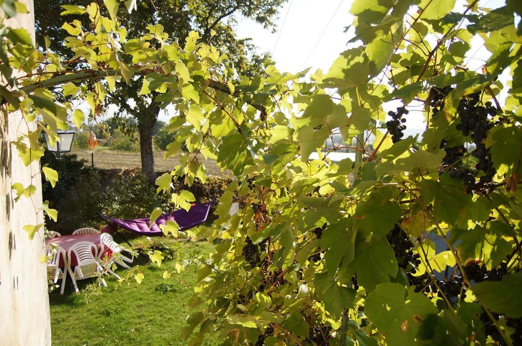 Bed and Breakfast Le Grand Noe Roisey Zewnętrze zdjęcie